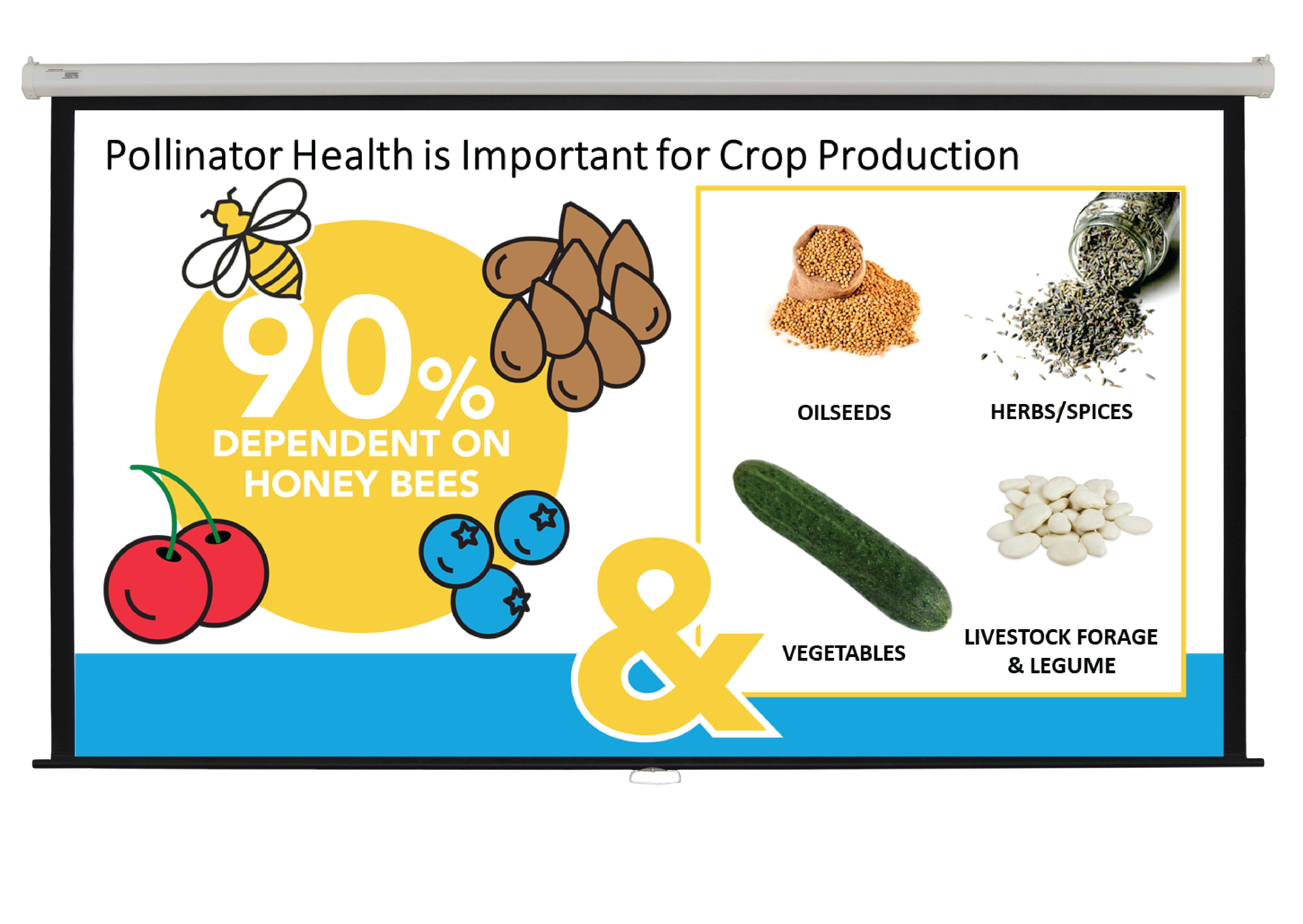 Pollinator Health in Crop Production